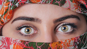 Ayı insan yer mi، Ayı insana saldırır mi، Ayılar et yermi، Ayılar insanlara aşık olur mu، Ayılar ne yer، Köprüyü geçene kadar ayıya dayı demek karikatür، Köprüyü geçene kadar ayıya dayı demek sözleri، Köprüyü gecene kadar ayıya dayı demek TDK، 